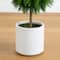 3.5ft. UV Resistant Cedar Double Ball Topiary Tree in White Decorative Planter